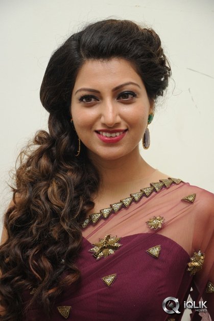 Hamsa-Nandini-at-Bengal-Tiger-Movie-Audio-Launch